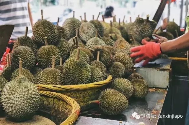 【新加坡】獅城最具人氣榴槤攤大搜羅!那些連名人們都掛保證的榴槤攤!