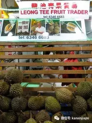 【新加坡】獅城最具人氣榴槤攤大搜羅!那些連名人們都掛保證的榴槤攤!