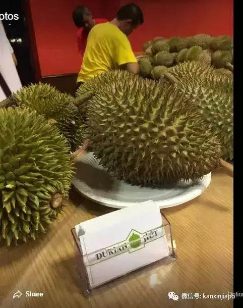 【新加坡】獅城最具人氣榴槤攤大搜羅!那些連名人們都掛保證的榴槤攤!