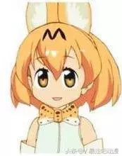 日漫二次元蟑螂都可以「擬人娘化」這麼可愛，還有什麼辦不到
