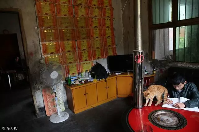 收養孤侄單身十幾年,哪知侄兒魚躍龍門,自己滿門大富大貴