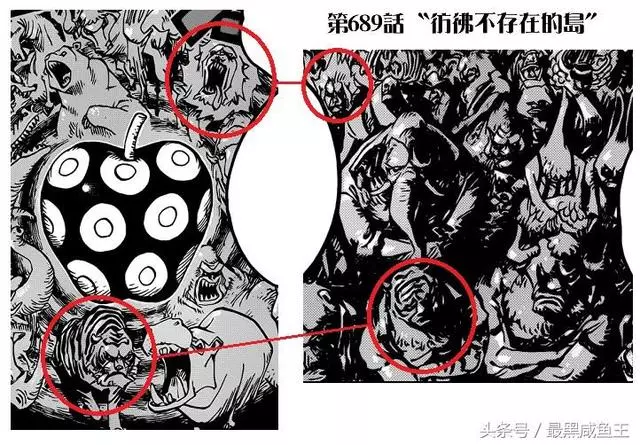 海賊王:凱多秘密泄露,凱多是世界政府的「失敗之作」!
