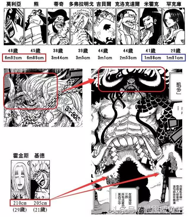 海賊王:凱多秘密泄露,凱多是世界政府的「失敗之作」!