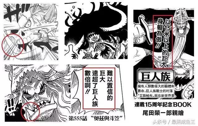 海賊王:凱多秘密泄露,凱多是世界政府的「失敗之作」!