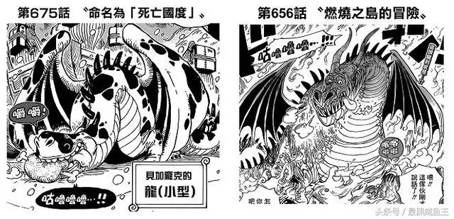 海賊王:凱多秘密泄露,凱多是世界政府的「失敗之作」!