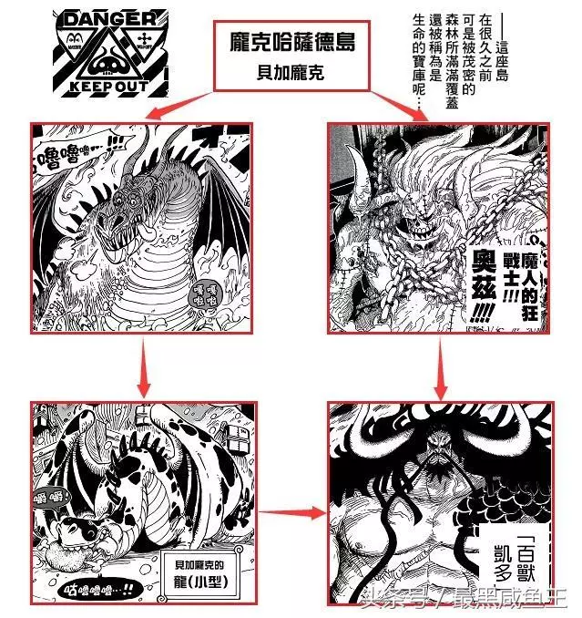 海賊王:凱多秘密泄露,凱多是世界政府的「失敗之作」!