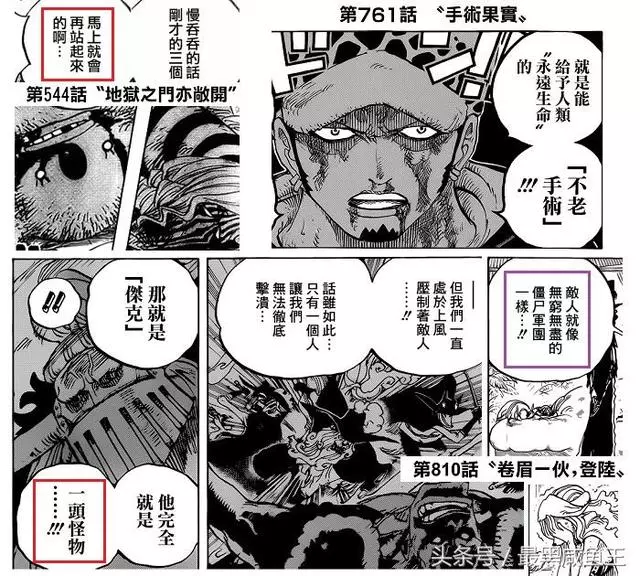 海賊王:凱多秘密泄露,凱多是世界政府的「失敗之作」!