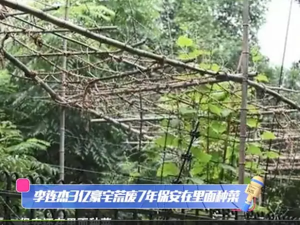 巨星李連杰上億豪宅都不要住!花兩年裝修後就給保全住了~ 網民:最貴員工宿舍!!