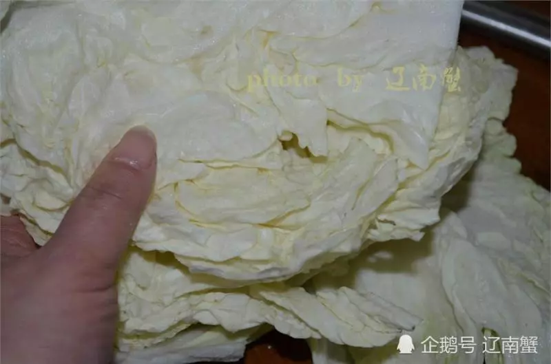 白菜和肉餡這麼做,比餃子好吃幾十倍!清新爽口超鮮美!全家搶著吃!