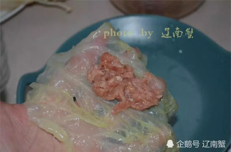 白菜和肉餡這麼做,比餃子好吃幾十倍!清新爽口超鮮美!全家搶著吃!
