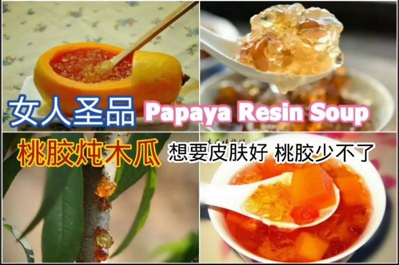 平民燕窩 ~ 木瓜燉桃膠 ~ 想要皮膚好,桃膠少不了!做法簡單,效果超好!