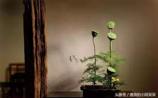 悟透這7句話,終身不生氣 - 讀讀