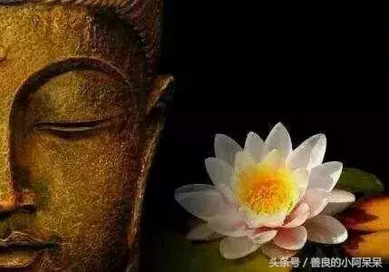 悟透這7句話,終身不生氣 - 讀讀