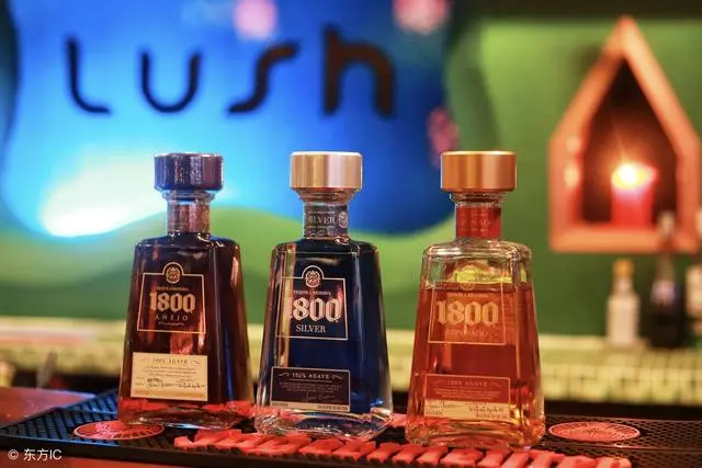 誰說養胃不好養?1把香菜1瓶酒,胃不酸不漲,吃嘛嘛香!