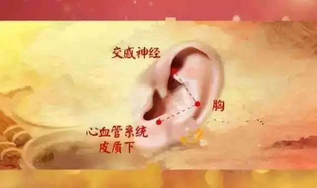 從頭到腳的7個保護穴,解決各種小麻煩!