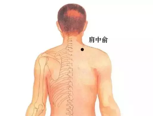 各種病都能找到對應的穴位,快快分享給朋友!