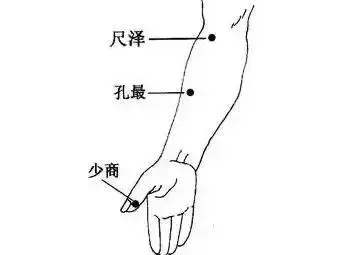 各種病都能找到對應的穴位,快快分享給朋友!