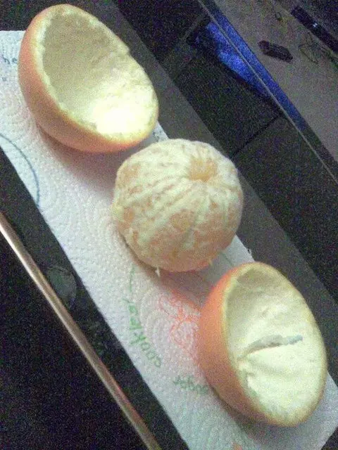 不管你是誰!這30張照片肯定會讓你一整天的心情都變得很好!