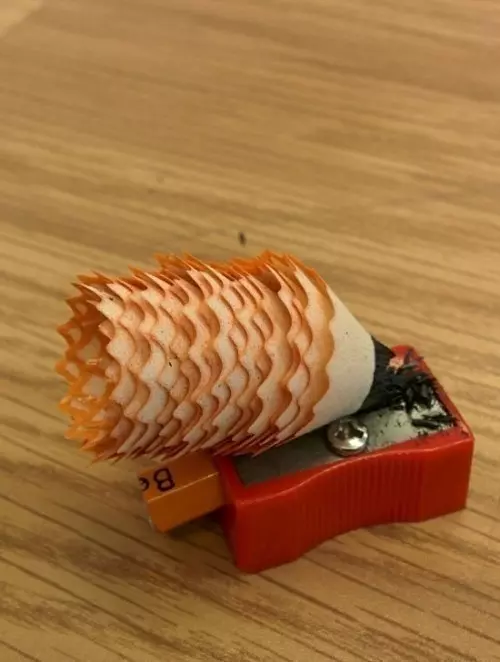 不管你是誰!這30張照片肯定會讓你一整天的心情都變得很好!