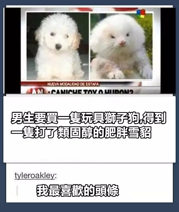 10張會讓你不知道該如何反應的超奇葩幽默照片！ 