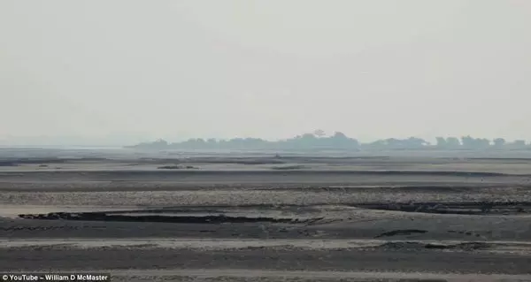 40年來每日種一樹 男子打造荒島成森林
