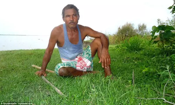 40年來每日種一樹 男子打造荒島成森林
