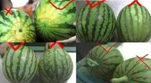 切開的西瓜沒吃完「千萬別封保鮮膜」,不但無法保鮮,細菌更是滋生10倍!