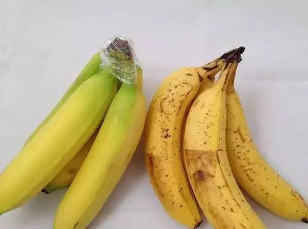 切開的西瓜沒吃完「千萬別封保鮮膜」,不但無法保鮮,細菌更是滋生10倍!