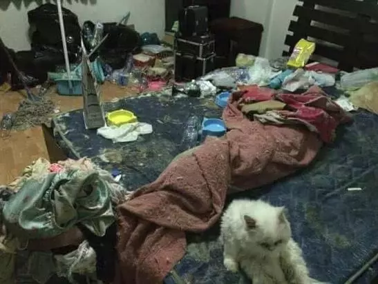 大馬美女房客把房子當成垃圾桶,屋主:充滿糞便、尿腥味,還有發黑的衛生巾!