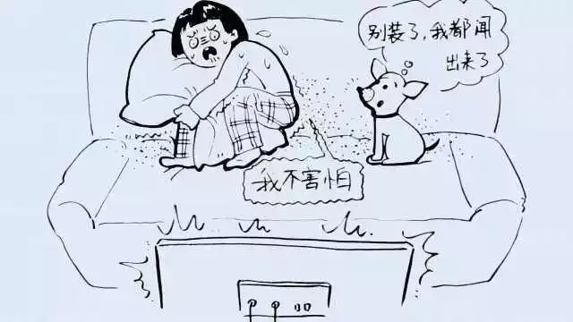 你看恐怖片時有多害怕,你的狗知道——它聞出來的