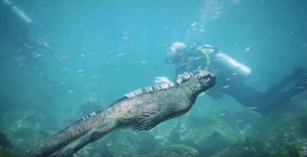 潛水員在海中與一隻「不明詭異巨獸」擦身而過?牠有著兇猛的外表,看起來根本縮小版酷斯拉!