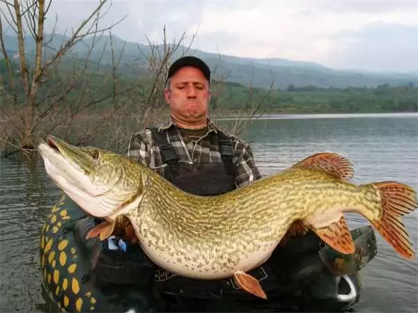 男子釣魚到一半,水面下竟然出現了巨大猙獰的「笑臉」,真面目實在太嚇人!