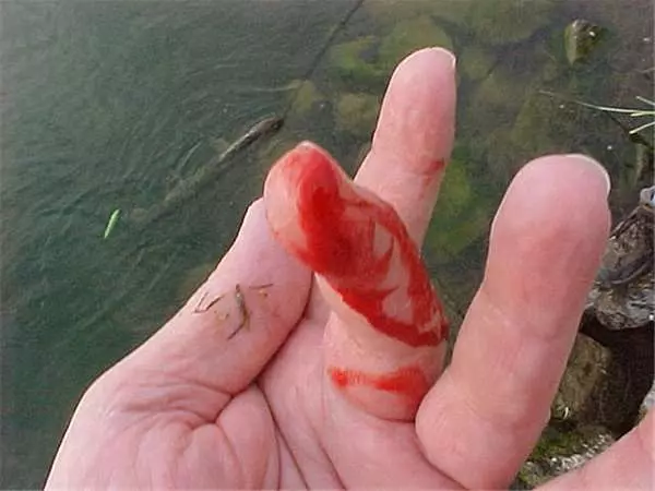 男子釣魚到一半,水面下竟然出現了巨大猙獰的「笑臉」,真面目實在太嚇人!