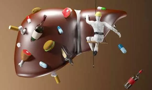 藏在身邊的「天然護肝王」,每天吃幾口,肝臟一天比一天好