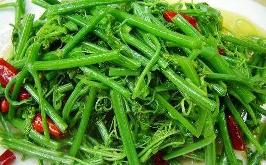《 12 大經典炒素菜菜譜 》一上桌就被搶光!