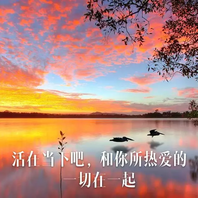 致晚上睡不著覺的人!(句句精闢)