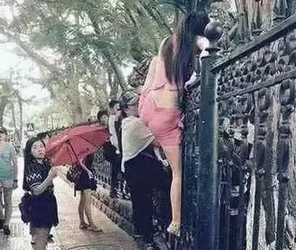 爆笑GIF圖:妹子相信你是個女漢子,也不能這樣不雅觀呀,看了好害羞!