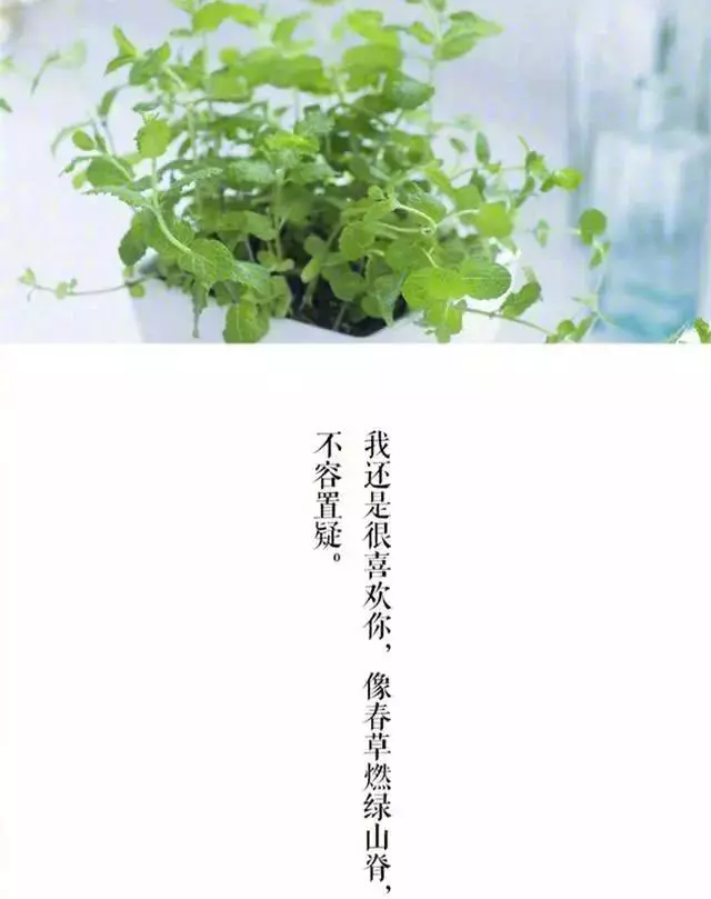 16句個性經典個性說說,舊情人給的問候,比陌生人還要尷尬