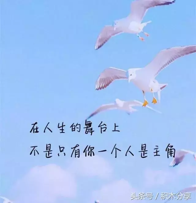 你才多大,為什麼總怕來不及
