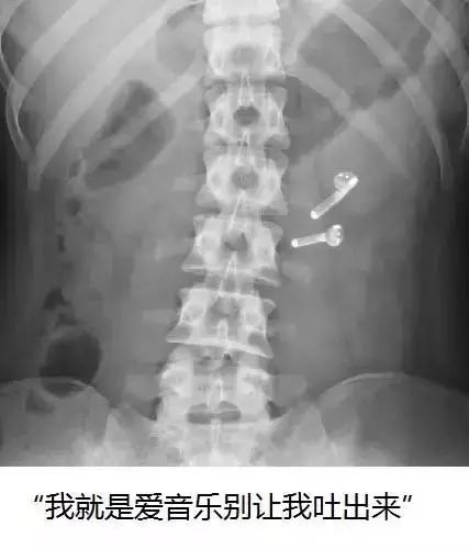 狗狗便血不是小事!找到原因更關鍵