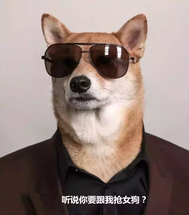 該不該給狗絕育?你還在糾結嗎
