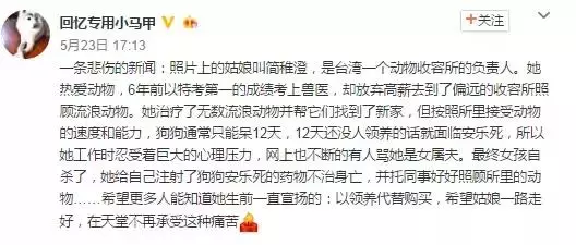 該不該給狗絕育?你還在糾結嗎