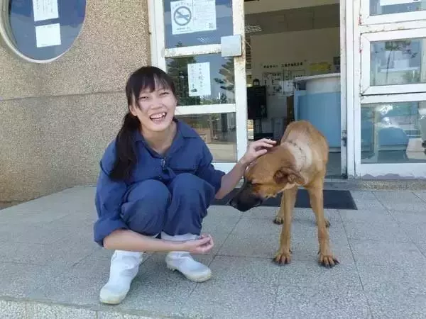 該不該給狗絕育?你還在糾結嗎