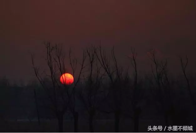 母親給四位兒子的遺書:謝謝你們照顧我,但我後悔生下了你們 - 讀讀