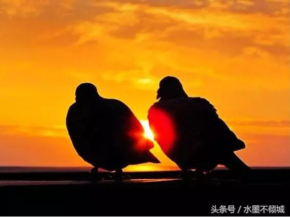母親給四位兒子的遺書:謝謝你們照顧我,但我後悔生下了你們 - 讀讀