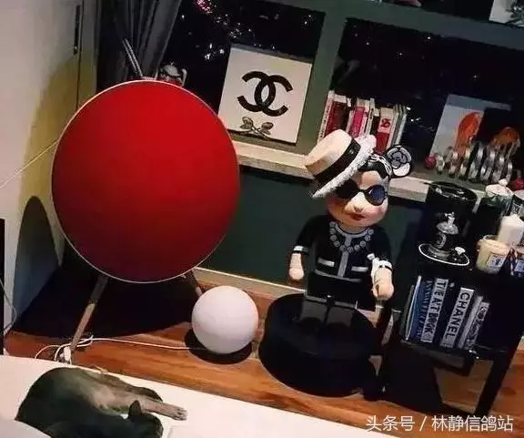 Bigbang 權志龍50億豪宅內景遭曝光 最有錢的韓國藝人
