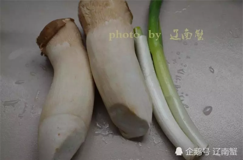 杏鮑菇的超簡單做法,又鮮又香,比肉的口感還要好,上桌迅速被吃光。