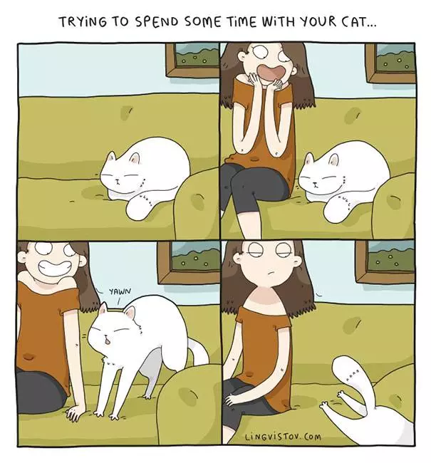 35張由超萌動物說出的超中肯語錄!