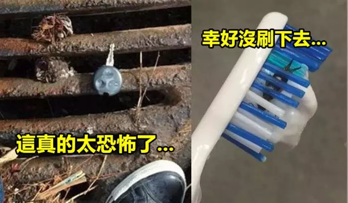 17個一定是上輩子做了很多好事的「超幸運人類」!