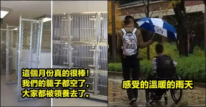 「好心人」的那些事!超暖人心的~